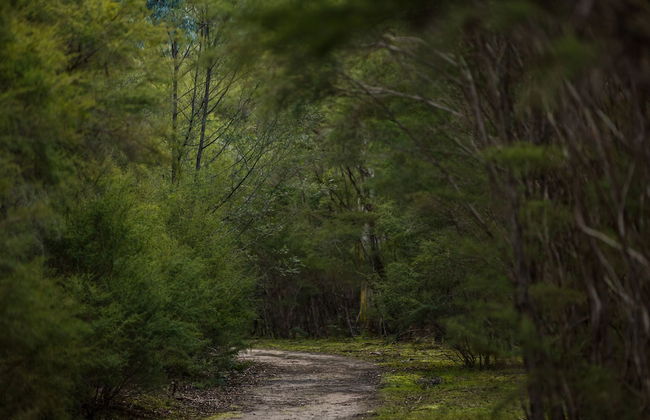 Yering Gorge Cottages - Foto 66