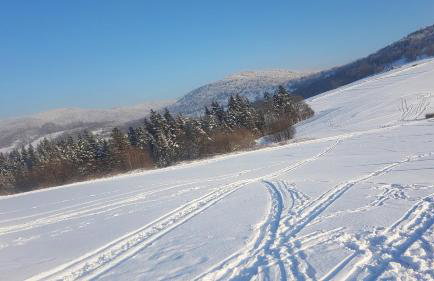 Agroturystyka Corno Owca - Foto 49
