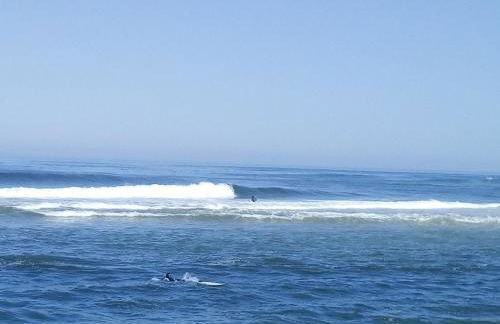 Pipo People House - Foto 37