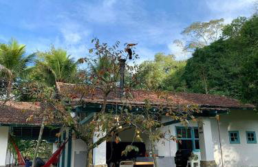 Sítio Espatódea - Foto 48