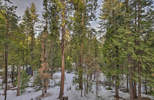 Cold Springs Mountain Cabin Hot Tub and Generator - Foto 28