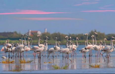 Casa Nanà Beach - Foto 42