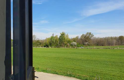 Azienda Agricola La Botanica - Foto 33