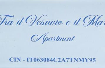 Tra il Vesuvio e il Mare Apartment - Foto 40