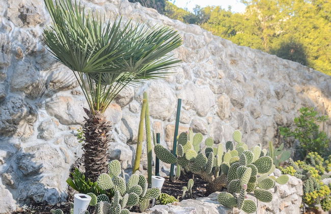 Apartments LLR - Foto 34