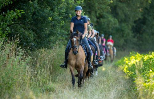 Ferienwohnungen Georgenbruch - Foto 123