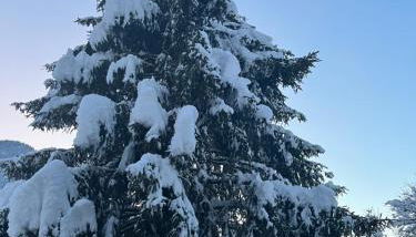 Chalet la poipia - Foto 3