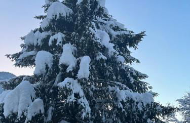 Chalet la poipia - Foto 17