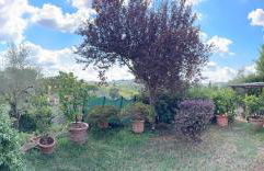 La Limonaia di Vanna - Foto 69