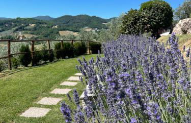 Agriturismo Collerisana - Photo 15