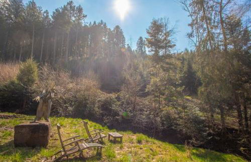 Schwarzwaldhütte am Bach mit Sauna - Foto 32