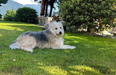Casa Angela - Foto 4