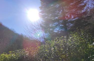 Casa Vacanze IL BOSCACCIO "Casa Serena" - Foto 6