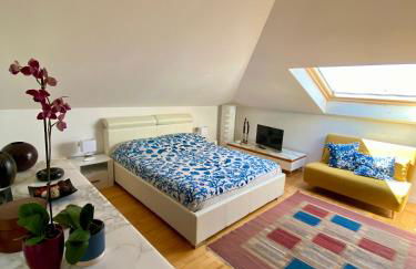 Casa Gabri - Luce, Mare, Apuane, AC, Parking - Foto 31