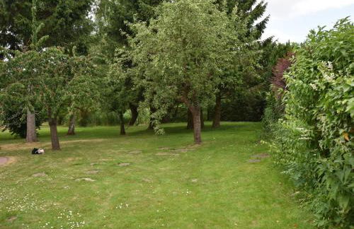 Wohnung in Alt Bukow mit Garten - Foto 35