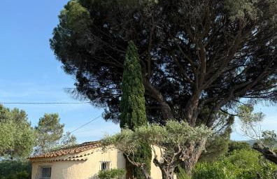 Le mazet du grand pin - Foto 1