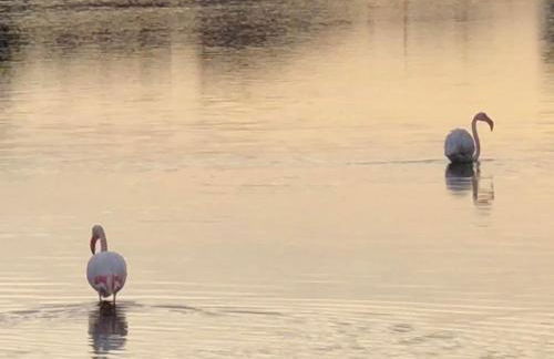 Barcaresa-LA PERLE VUE MER PIEDS DANS L'EAU CLIM WIFI - Foto 40