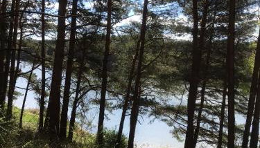 Dom letniskowy nad jeziorem Wigry Staw Suwalszczyzna - Foto 3