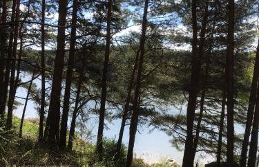 Dom letniskowy nad jeziorem Wigry Staw Suwalszczyzna - Foto 3