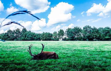 Ferienwohnung Eichkatzel - Foto 55