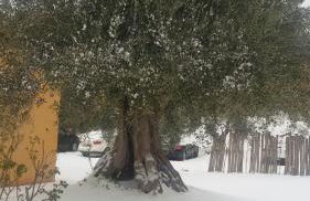 Agriturismo L'isola - Foto 9