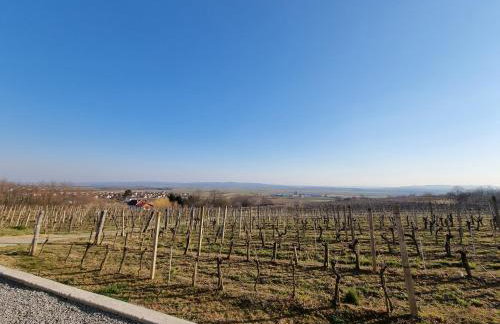 Kuća za odmor Baron - Foto 52