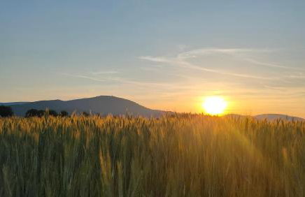 Domek na wyłączność ,bania z jacuzzi. Pobyt góry, jezioro, las. - Foto 21