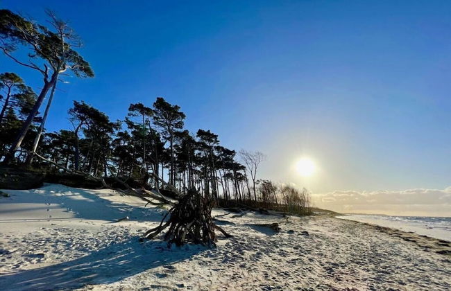 Holiday Home Marla Comfortable Vacation Home - Foto 26