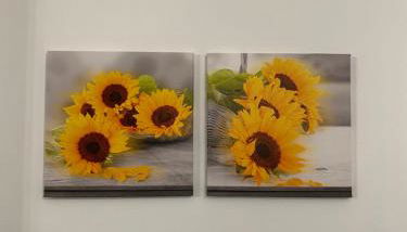 Houses of Flowers - Foto 3