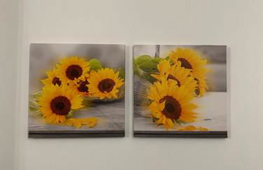 Houses of Flowers - Foto 3