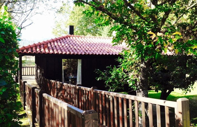 Treehouse Quinta Lamosa - Foto 22