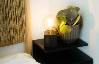 Coral Suite Plaza - Photo 20