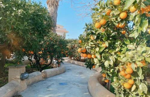 Casa Aranci - Foto 36