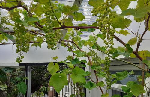 The Treehouse by Airlie - Foto 36