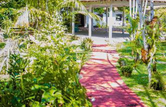 Casa c Wifi, churrasq, pisc, redario, Pet friendly - Photo 41