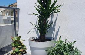 Casa Buena Vista con piscina y ascensor - Photo 48