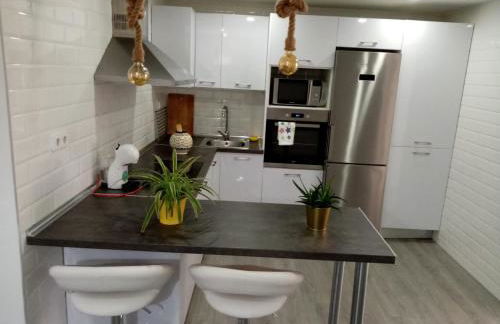 Apartamento céntrico recién reformado - Foto 1