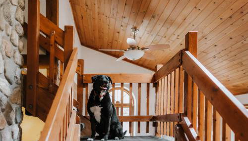 Finnwood - A Pet Friendly Woodland Retreat - Foto 3