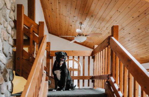 Finnwood - A Pet Friendly Woodland Retreat - Foto 3