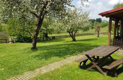 "Dolina szczęścia" Kartkowo - Foto 21