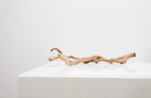 Owl Barn at Penygaer Great views of Brecon Beacons - Foto 25