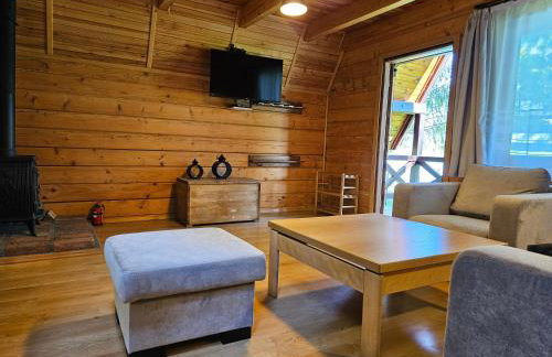 Domek letniskowy nad stawem Temeszów Bieszczady - Foto 25