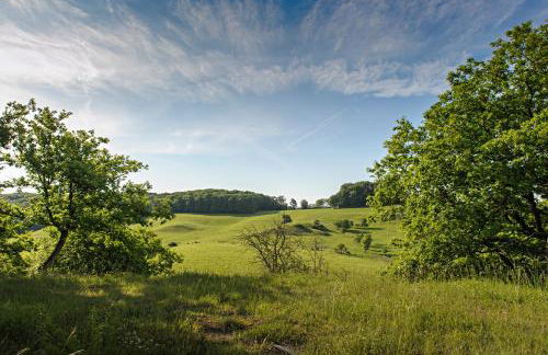Nengshof Ferienhaus Gänseblümchen - Foto 1