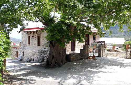 Traditional House Koukounara - Foto 1