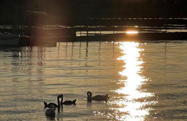 Ferienwohnung Dünenhopser - Foto 48