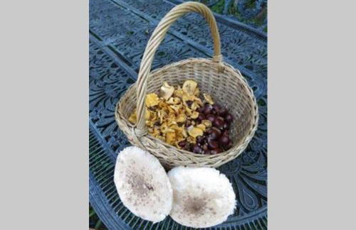 Casa da Labaceira - Foto 38