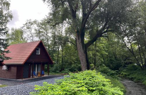 Opawski Zakątek 43 - Foto 23