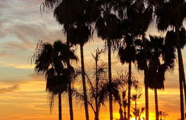 Residencial Algaida - Photo 51