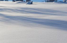 Ferienbungalow Sonnenwald Bayerischer Wald - Foto 3