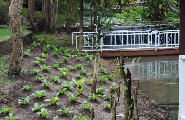 The Stove House Hang Dong Chiang Mai - Foto 42